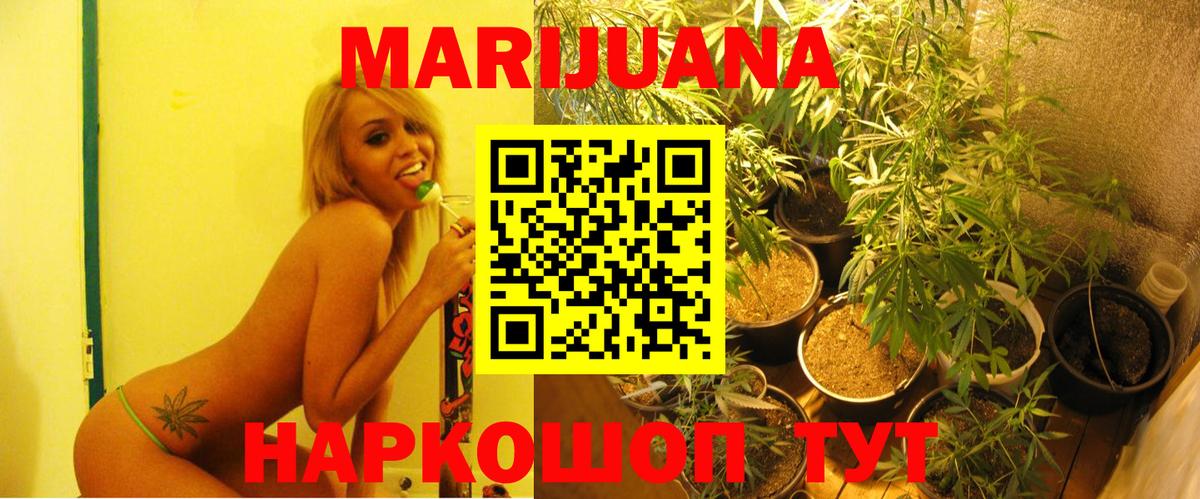Шишки марихуана тримм  Вход с VPN  Шишки марихуана VHQ  Элиста  МАРИХУАНА тримм 